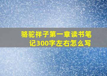 骆驼祥子第一章读书笔记300字左右怎么写