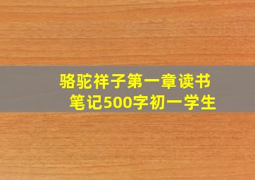 骆驼祥子第一章读书笔记500字初一学生