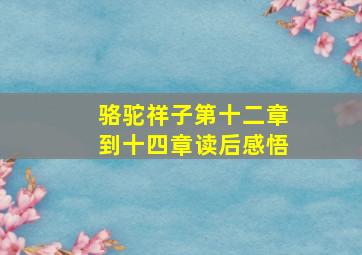 骆驼祥子第十二章到十四章读后感悟