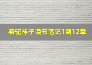 骆驼祥子读书笔记1到12章