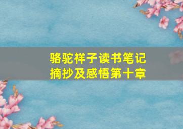 骆驼祥子读书笔记摘抄及感悟第十章