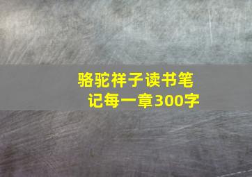 骆驼祥子读书笔记每一章300字