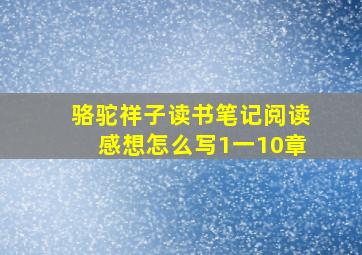 骆驼祥子读书笔记阅读感想怎么写1一10章