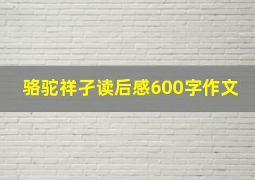 骆驼祥孑读后感600字作文