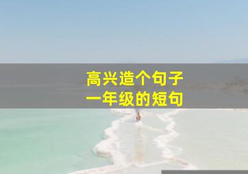 高兴造个句子一年级的短句