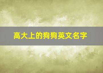 高大上的狗狗英文名字