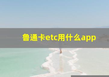 鲁通卡etc用什么app