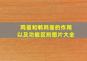 鸡蛋和鹌鹑蛋的作用以及功能区别图片大全