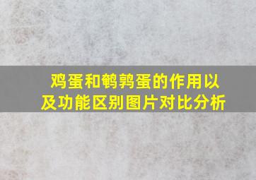 鸡蛋和鹌鹑蛋的作用以及功能区别图片对比分析