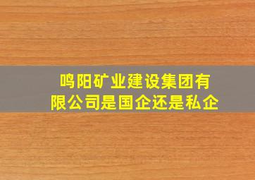 鸣阳矿业建设集团有限公司是国企还是私企