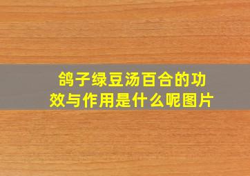 鸽子绿豆汤百合的功效与作用是什么呢图片