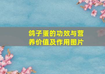 鸽子蛋的功效与营养价值及作用图片