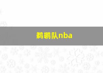 鹈鹕队nba