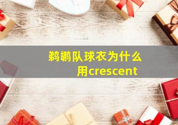 鹈鹕队球衣为什么用crescent