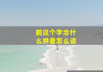 鹬这个字念什么拼音怎么读