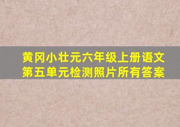 黄冈小壮元六年级上册语文第五单元检测照片所有答案