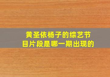 黄圣依杨子的综艺节目片段是哪一期出现的