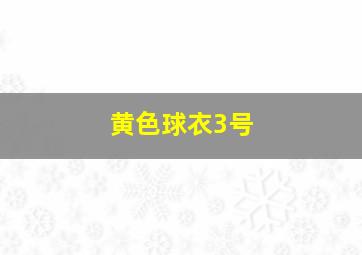 黄色球衣3号