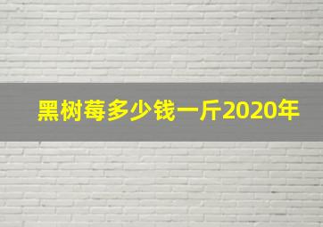 黑树莓多少钱一斤2020年