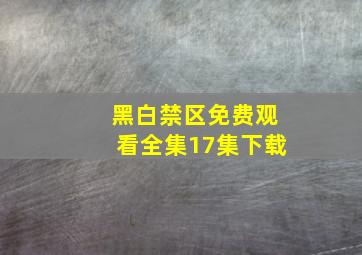 黑白禁区免费观看全集17集下载