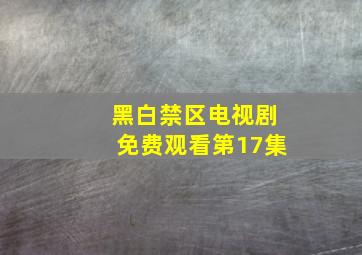 黑白禁区电视剧免费观看第17集