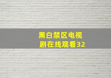 黑白禁区电视剧在线观看32