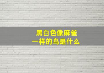 黑白色像麻雀一样的鸟是什么