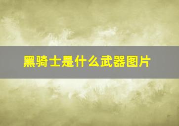 黑骑士是什么武器图片