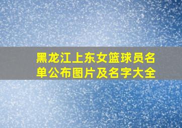 黑龙江上东女篮球员名单公布图片及名字大全