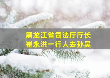 黑龙江省司法厅厅长崔永洪一行人去孙吴